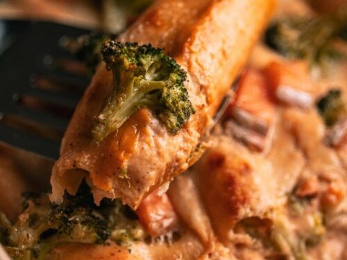 cannelloni met zalm & broccoli